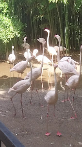 Animal Park Cappeller — fotografia 2