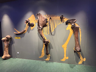 Tarii Crisurilor Museum — fotografia 5