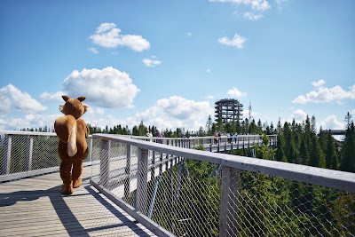 Treetop Walk Bachledka