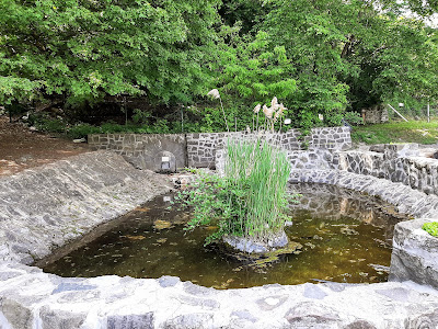 Lajos Spring — fotografia 4