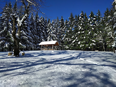 Trešnjik — fotografia 5