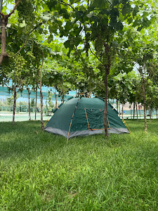 Agro Camping Harmony Berat — fotografia 5