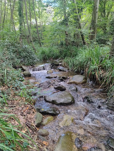 Ruta de senderisme Vallforners-Cànoves​ — fotografia 3