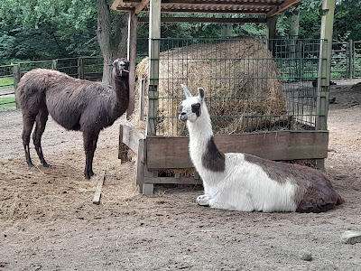 Neustrelitz Zoo — fotografia 3