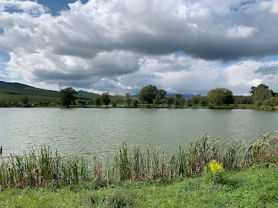 Rožkovianske rybníky