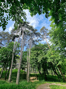 Parcul Iuliu Prodan — fotografia 5
