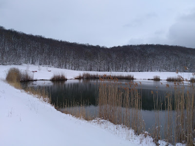 Ljeskove vode — fotografia 3