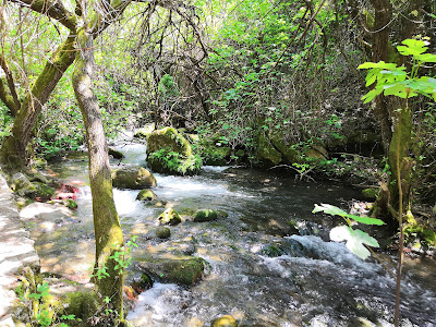 Sendero Río Majaceite — fotografia 4