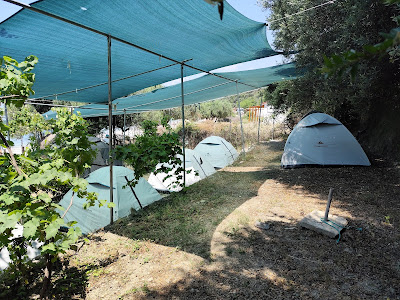 Jungle Camping in Borsh