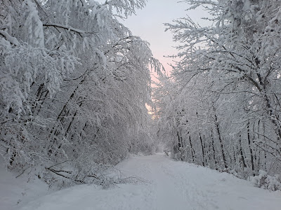 Két-bükkfa-nyereg — fotografia 4