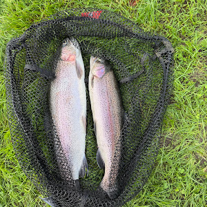 Trout Park Haere — fotografia 4
