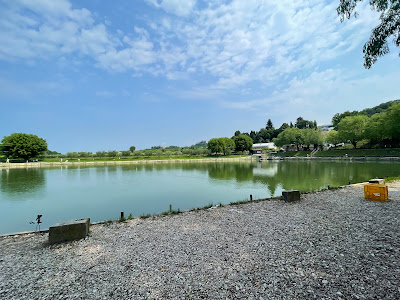 Pesca Sportiva Laghetto ulivi Di Fontana Gabriele
