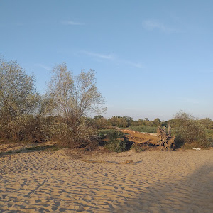 Plaża Wilanów Zawady — fotografia 4