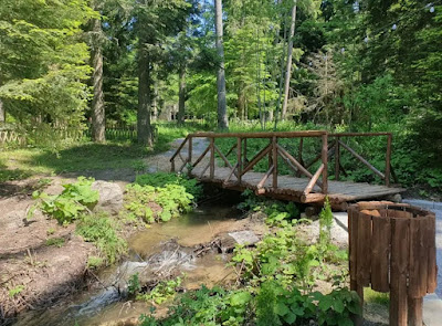 “Pesako” Eco trail (north entrance) — fotografia 4