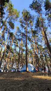 MOSiR w Wolsztynie - Camping nr 50 "Ustronie" w Karpicku — fotografia 3
