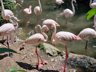 Raritätenzoo Ebbs — fotografia 4