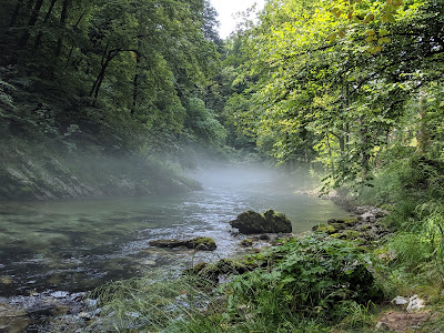 Soteska Vintgar — fotografia 3