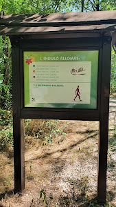 Akácfa utcai kiserdő — fotografia 3