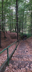 Parcul de Picnic Faget — fotografia 4