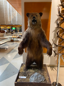 Museum of TANAP — fotografia 4