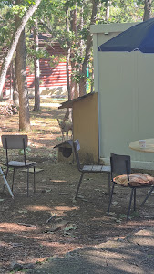 Chaika Camping — fotografia 3