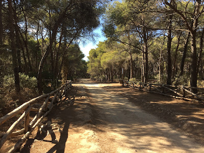 Spiaggia di Porto Selvaggio — fotografia 4
