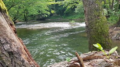 Izletište Čvarinac