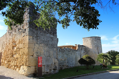 Museu d'Arqueologia de Catalunya |Olèrdola — fotografia 5