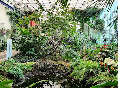 Ocean Orchids trgovina in storitve d.o.o. — fotografia 3