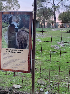 Parque Natural Las Quinientas — fotografia 5