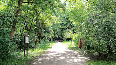 Las Sołtysowicki — fotografia 3