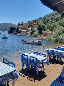 Tavern Delfini — fotografia 4