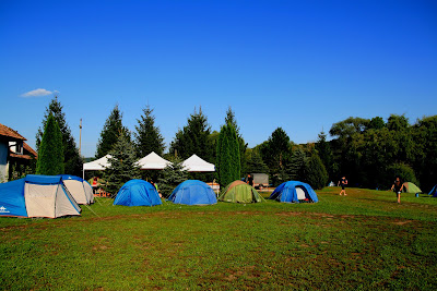 Camping Curtea Largă — fotografia 4