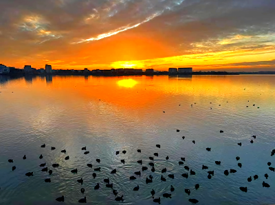 Lacul Morii — fotografia 4