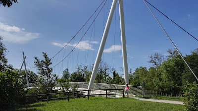 Oasi Verde — fotografia 4