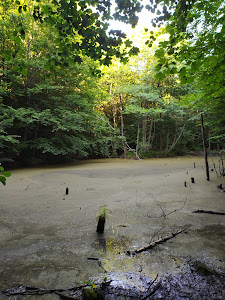 Lacul Cuejdel — fotografia 5
