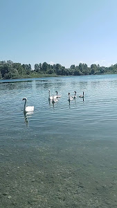 Sljunkara Beach — fotografia 5