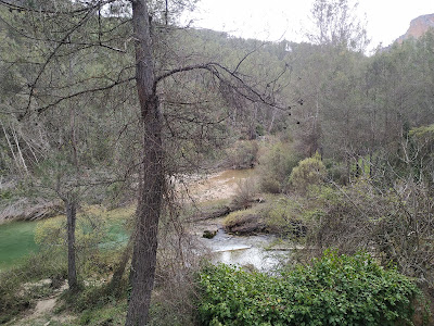 Charco Las Juntas — fotografia 5