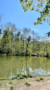Rybník Bažantnice