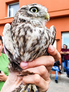 Natural History Museum of Salento — fotografia 5