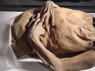 Museo de las Momias de Quinto — fotografia 4