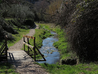 Kliško polje