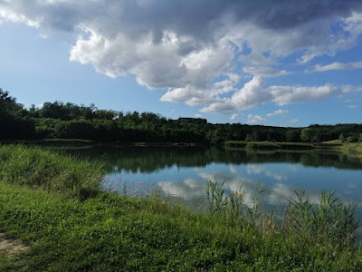 Dobrovita Visnjevac