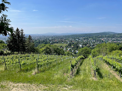 Bellevuewiese — fotografia 4