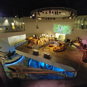 Naturama — fotografia 3