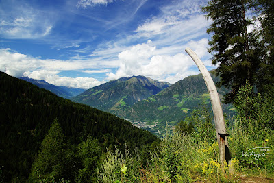 Walderlebnispfad Aschbach — fotografia 5