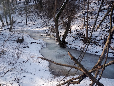 Diósjenő Forest Recreation Park — fotografia 3