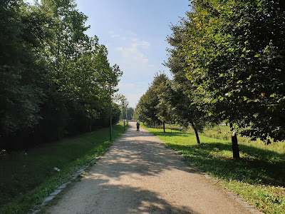 Park Tysiąclecia we Wrocławiu — fotografia 4