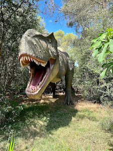 Dinosaurland — fotografia 3