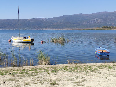 Lake Vegoritida — fotografia 5